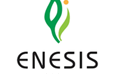 Enesis